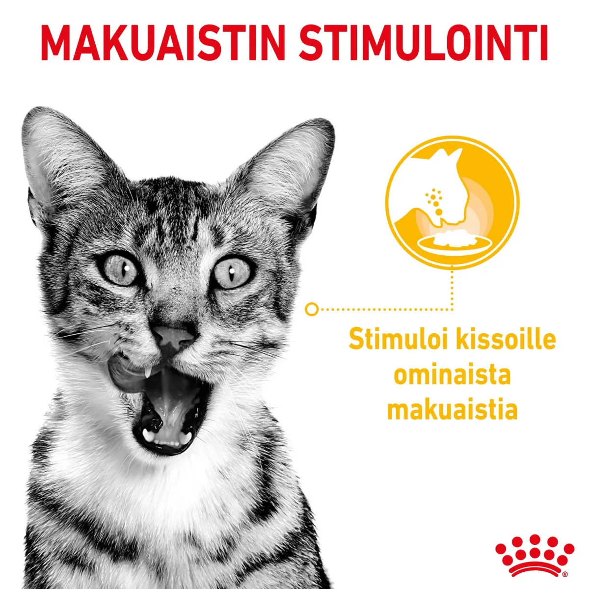 Royal Canin Kissan Märkäruoka*Sensory Mixed box Gravy 85g, 48-pack