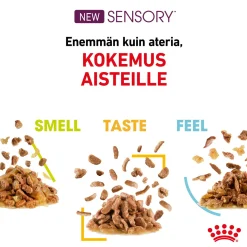 Royal Canin Kissan Märkäruoka*Sensory Mixed box Gravy 85g, 48-pack