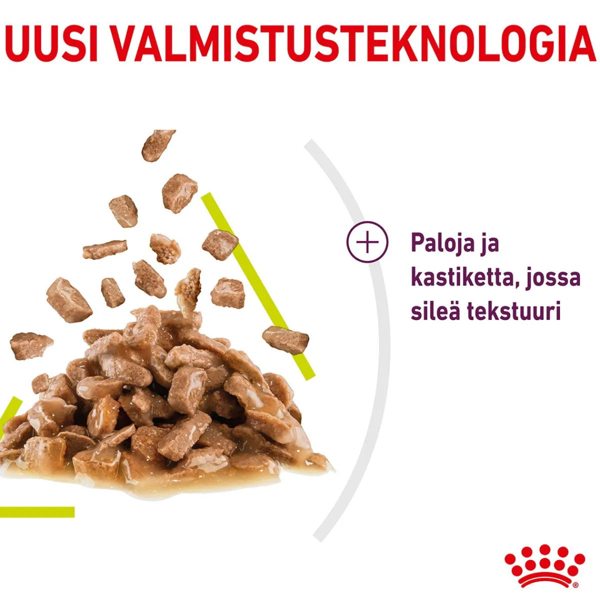 Royal Canin Kissan Märkäruoka*Sensory Smell Gravy 85g, 48-pack