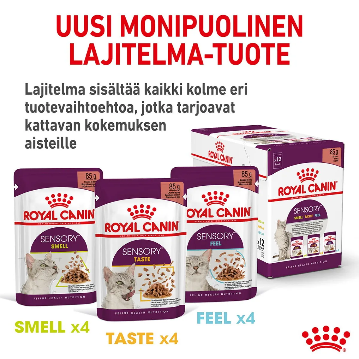 Royal Canin Kissan Märkäruoka*Sensory Smell Gravy 85g, 48-pack