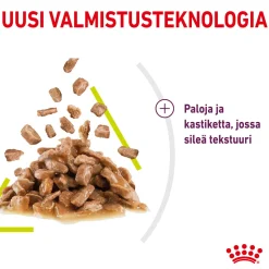 Royal Canin Kissan Märkäruoka*Sensory Smell Gravy 85g, 48-pack