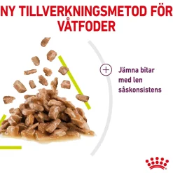 Royal Canin Kissan Märkäruoka*Sensory Smell Gravy 85g, 48-pack