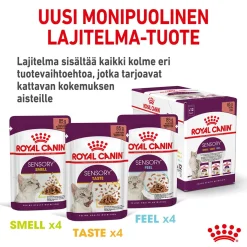 Royal Canin Kissan Märkäruoka*Sensory Taste Gravy 85g, 48-pack