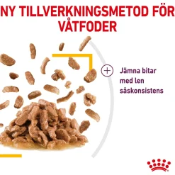 Royal Canin Kissan Märkäruoka*Sensory Taste Gravy 85g, 48-pack