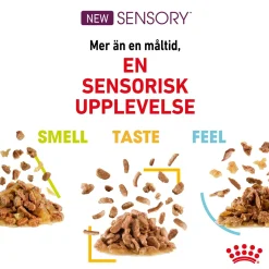Royal Canin Kissan Märkäruoka*Sensory Taste Gravy 85g, 48-pack