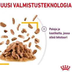 Royal Canin Kissan Märkäruoka*Sensory Taste Gravy 85g, 48-pack