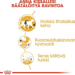 Royal Canin Tarjoukset Kissoille|Kissan Kuivaruoka*Siamese
