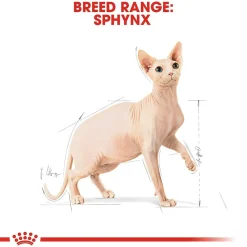 Royal Canin Tarjoukset Kissoille|Kissan Kuivaruoka*Sphynx
