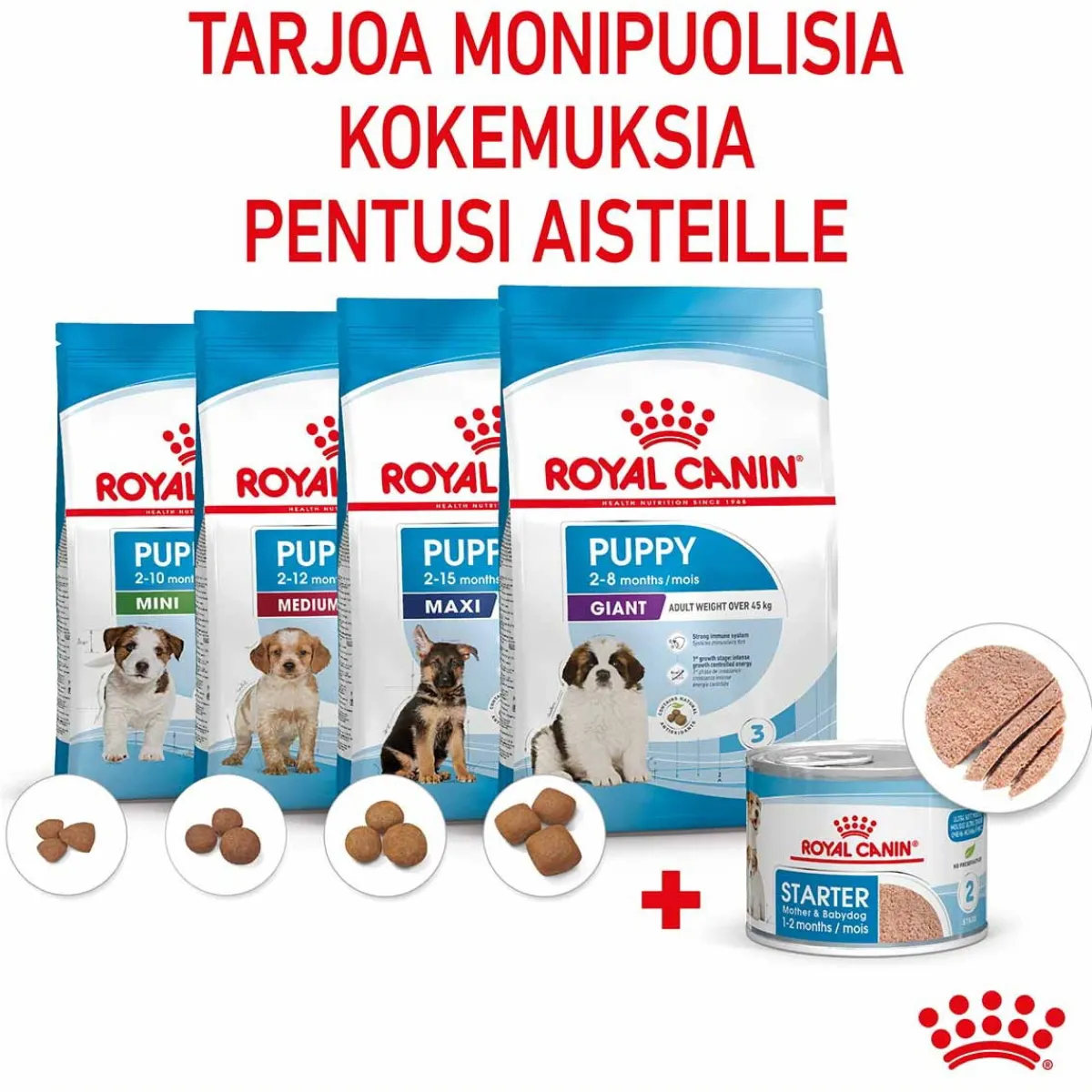 Royal Canin Penturuoka|Penturuoka*Starter Mother & Babydog