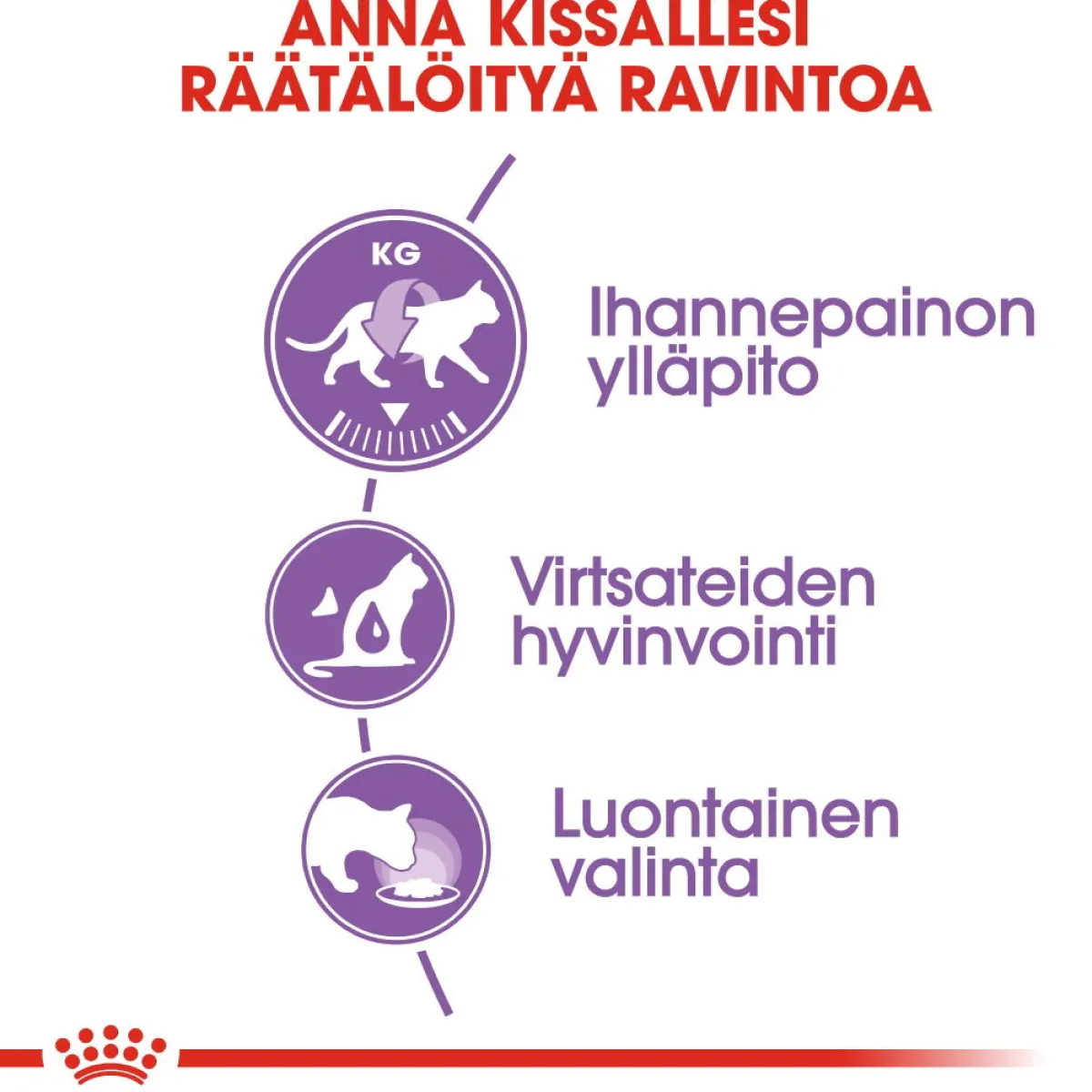 Royal Canin Kissan Märkäruoka|Kissan Erikoisruoat*Sterilised Jelly, 12x85g