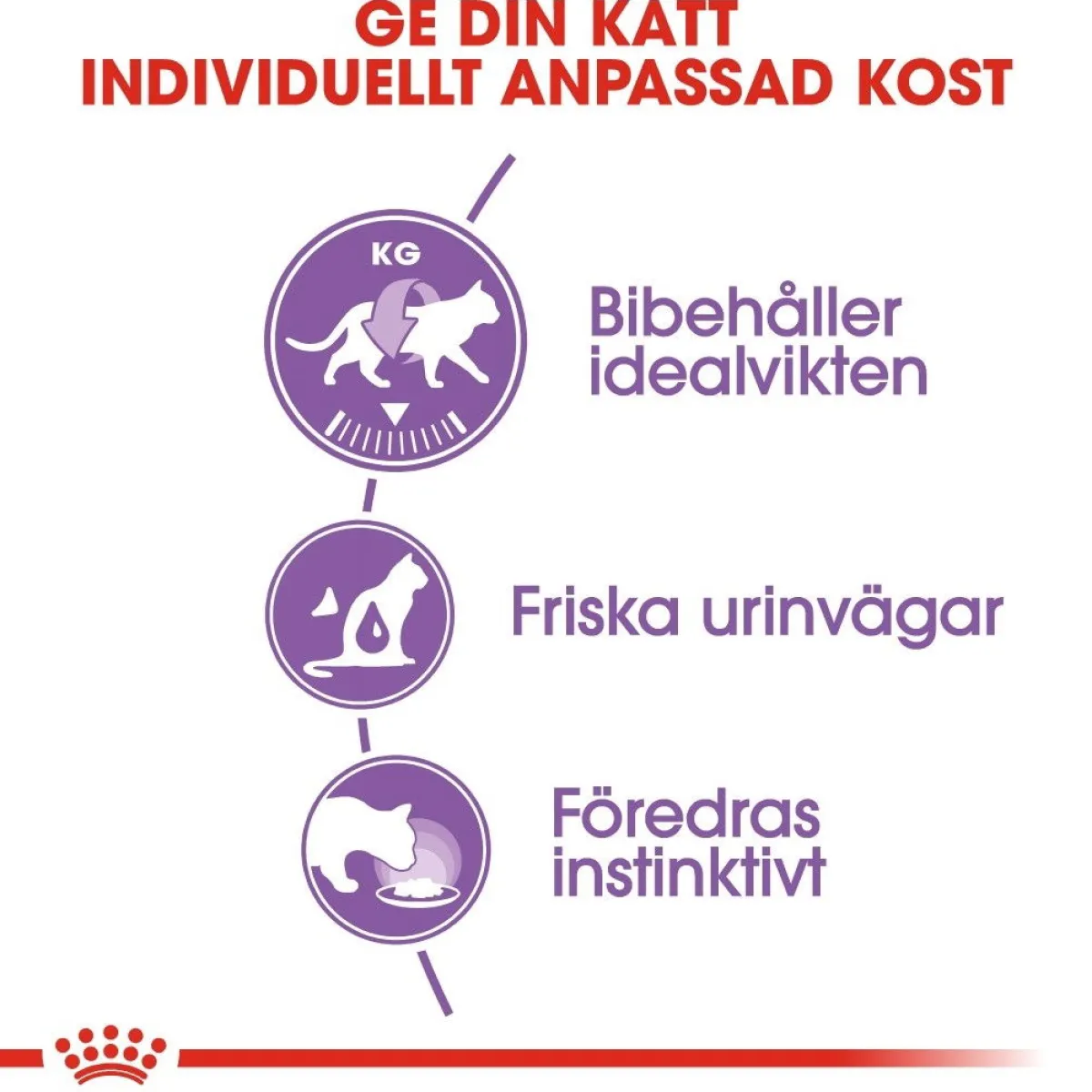 Royal Canin Kissan Märkäruoka*Sterilised Jelly 85g, 48-pack