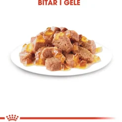 Royal Canin Kissan Märkäruoka*Sterilised Jelly 85g, 48-pack