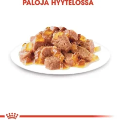 Royal Canin Kissan Märkäruoka*Sterilised Jelly 85g, 48-pack