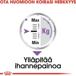 Royal Canin Koiranruoat Erityistapeisiin|Koiran Märkäruoka Ja Makkarat*Sterilised wet 12 x 85 g