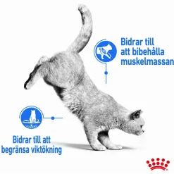 Royal Canin Kissan Märkäruoka*Ultra Light Gravy 85g, 48-pack