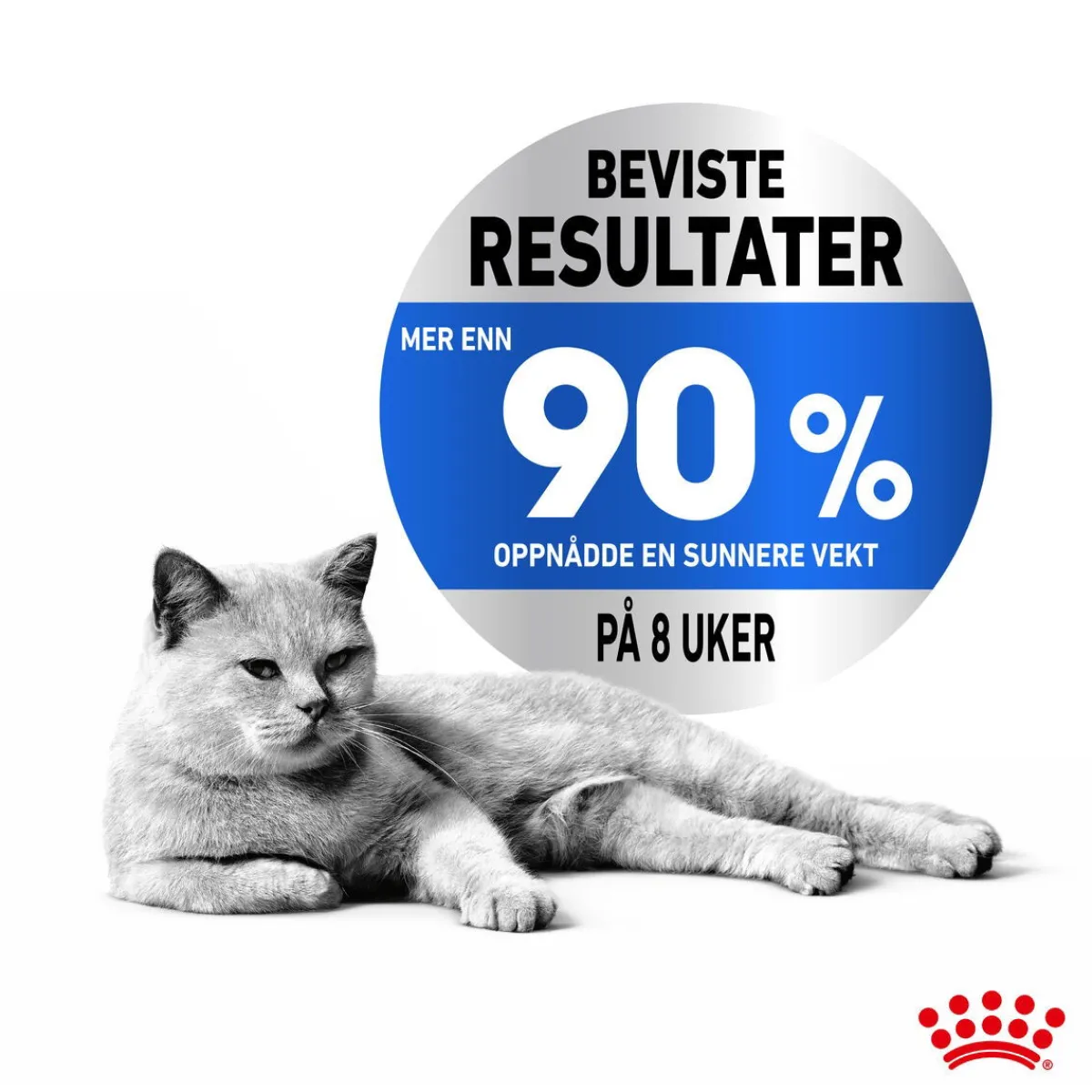 Royal Canin Kissan Märkäruoka*Ultra Light Gravy 85g, 48-pack