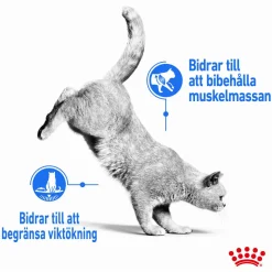 Royal Canin Kissan Märkäruoka*Ultra Light Jelly 85g, 48-pack
