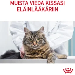 Royal Canin Kissan Märkäruoka*Ultra Light Jelly 85g, 48-pack