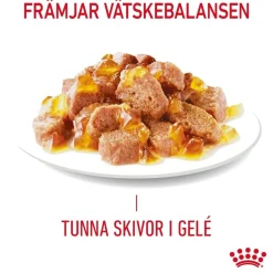 Royal Canin Kissan Märkäruoka*Ultra Light Jelly 85g, 48-pack