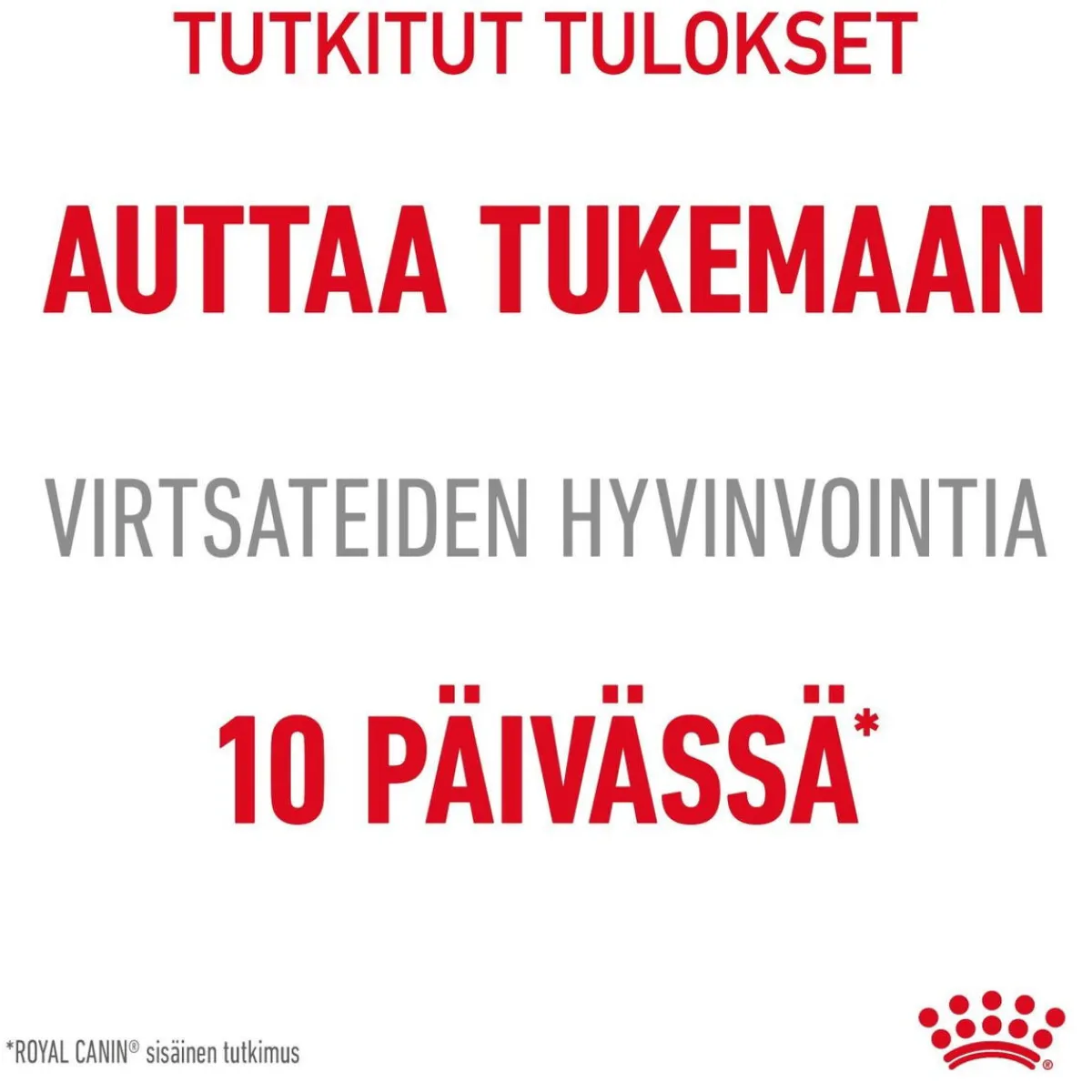 Royal Canin Kissan Kuivaruoka|Kissan Erikoisruoat*Urinary Care