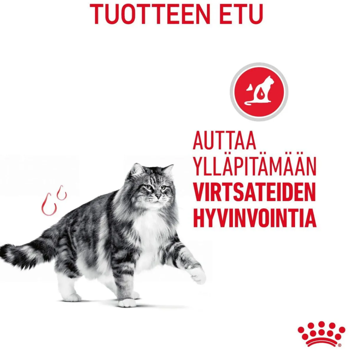 Royal Canin Kissan Märkäruoka|Kissan Erikoisruoat*Urinary Care Gravy 12x85g