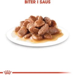 Royal Canin Kissan Märkäruoka*Urinary Care Gravy 85g, 48-pack