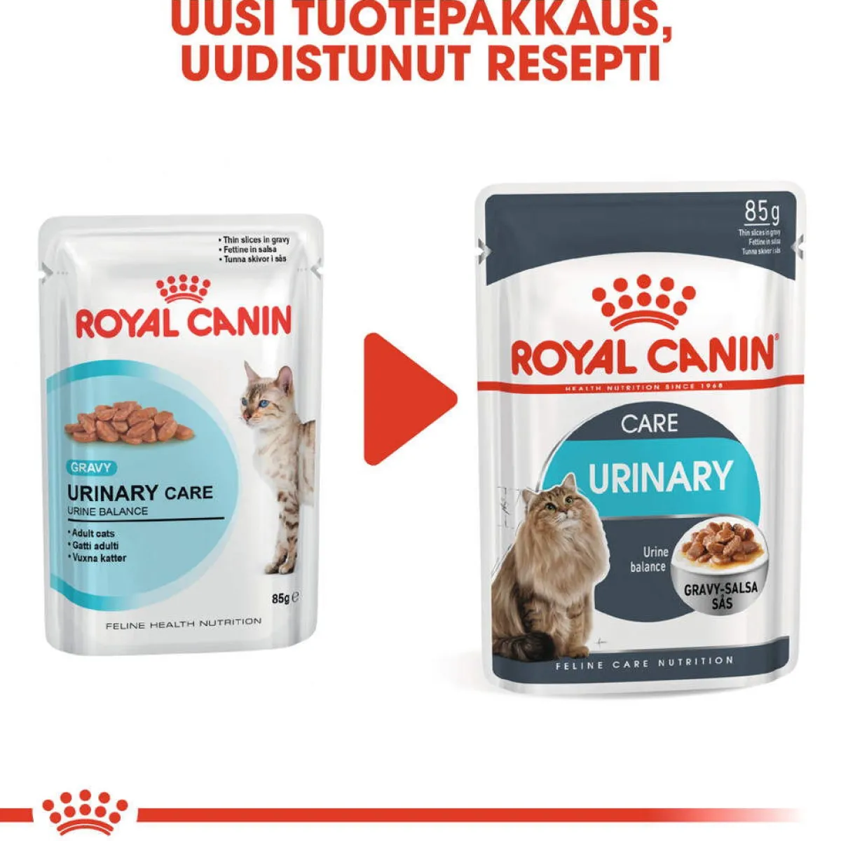 Royal Canin Kissan Märkäruoka*Urinary Care Gravy 85g, 48-pack