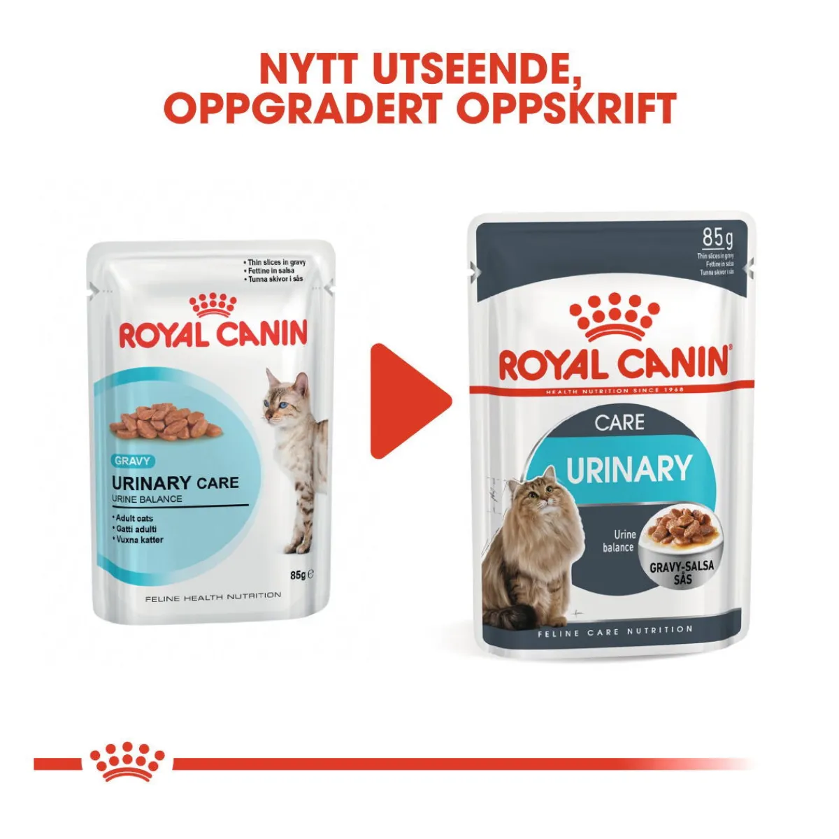 Royal Canin Kissan Märkäruoka*Urinary Care Gravy 85g, 48-pack