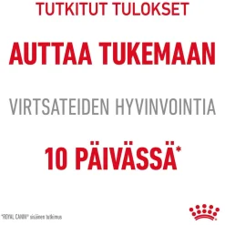 Royal Canin Kissan Märkäruoka*Urinary Care Gravy 85g, 48-pack