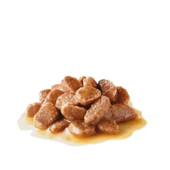 Royal Canin Kissan Märkäruoka*Urinary Care Gravy 85g, 48-pack