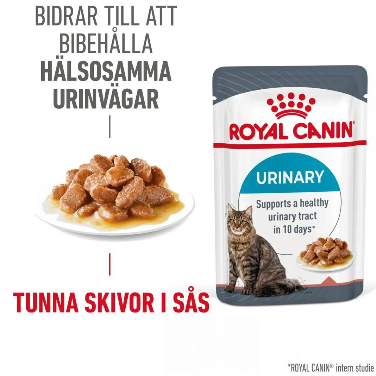Royal Canin Kissan Märkäruoka*Urinary Care Gravy 85g, 48-pack