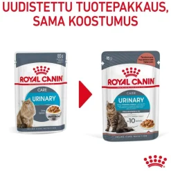 Royal Canin Kissan Märkäruoka*Urinary Care Gravy 85g, 48-pack