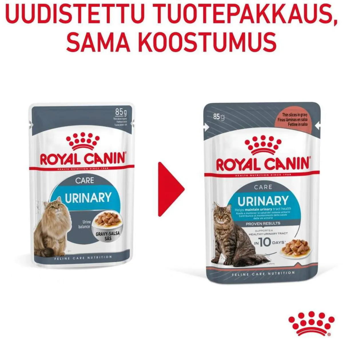 Royal Canin Kissan Märkäruoka*Urinary Care Gravy 85g, 48-pack