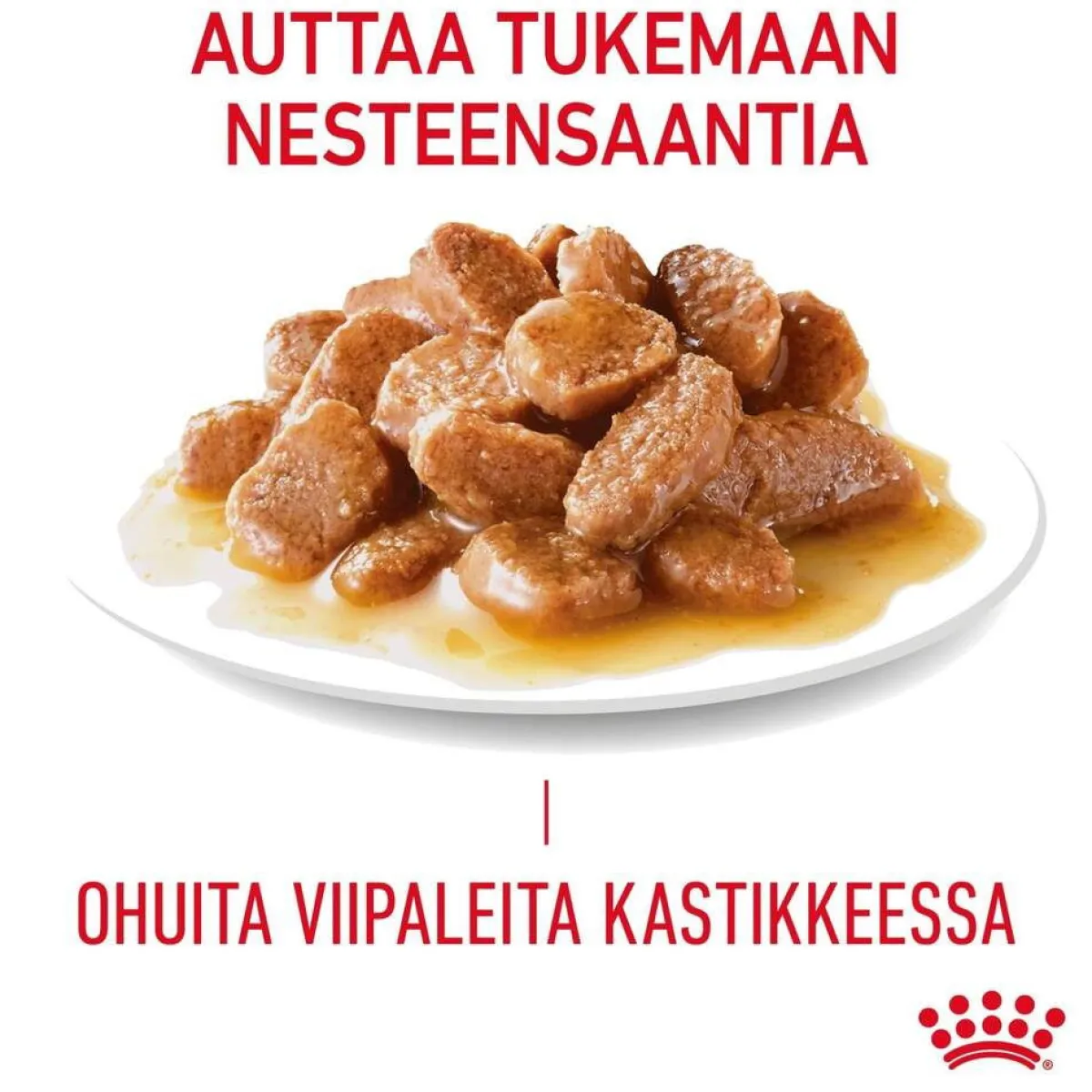Royal Canin Kissan Märkäruoka*Urinary Care Gravy 85g, 48-pack