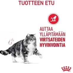 Royal Canin Kissan Märkäruoka*Urinary Care Gravy 85g, 48-pack
