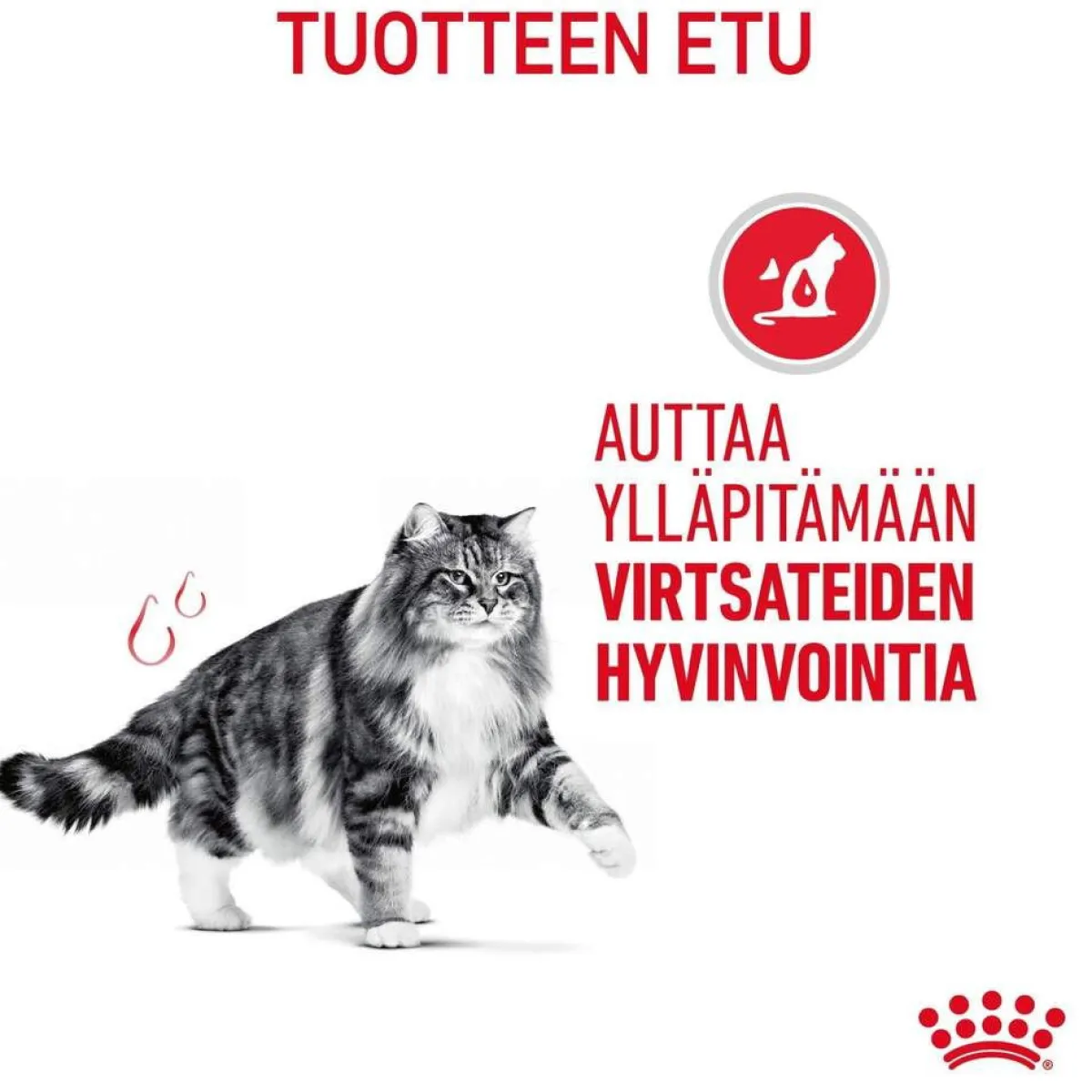 Royal Canin Kissan Märkäruoka*Urinary Care Gravy 85g, 48-pack