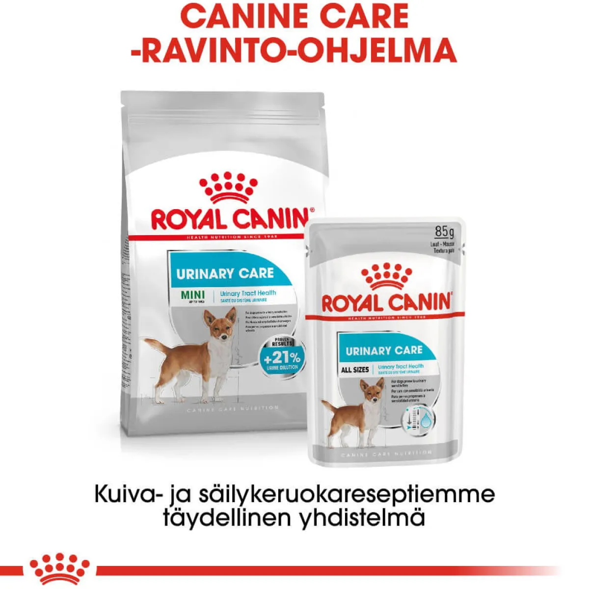 Royal Canin Koiran Kuivaruoka*Urinary Care Mini