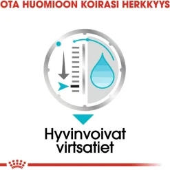 Royal Canin Koiran Märkäruoka Ja Makkarat*Urinary Care wet 12 x 85 g