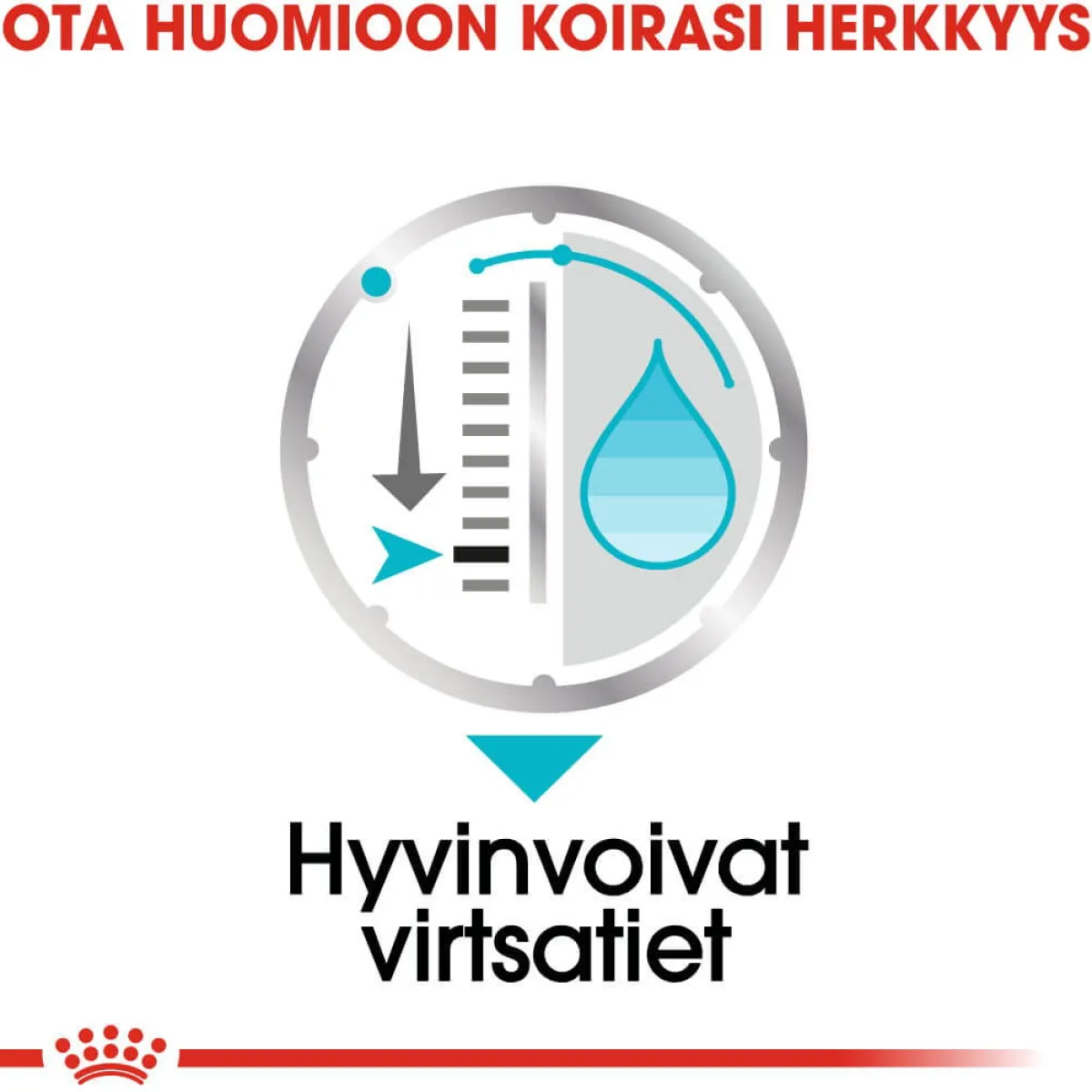 Royal Canin Koiran Märkäruoka Ja Makkarat*Urinary Care wet 12 x 85 g