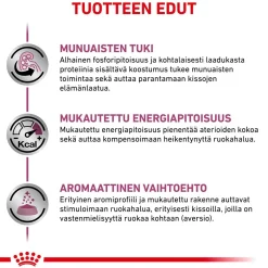 Royal Canin Veterinary Diets Kissan Erikoisruoka|Kissan Munuaisten Vajaatoiminta*Royal Canin Veterinary Cat Vital Renal Loaf 12x85 g