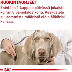 Royal Canin Veterinary Diets Hoito Ja Terveys*Dog Pill Assist M/L 225g