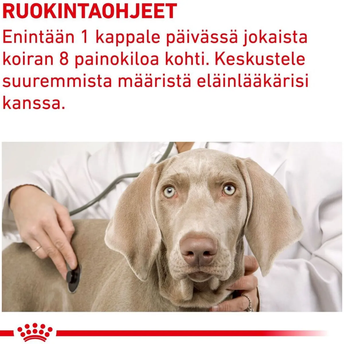Royal Canin Veterinary Diets Hoito Ja Terveys*Dog Pill Assist M/L 225g