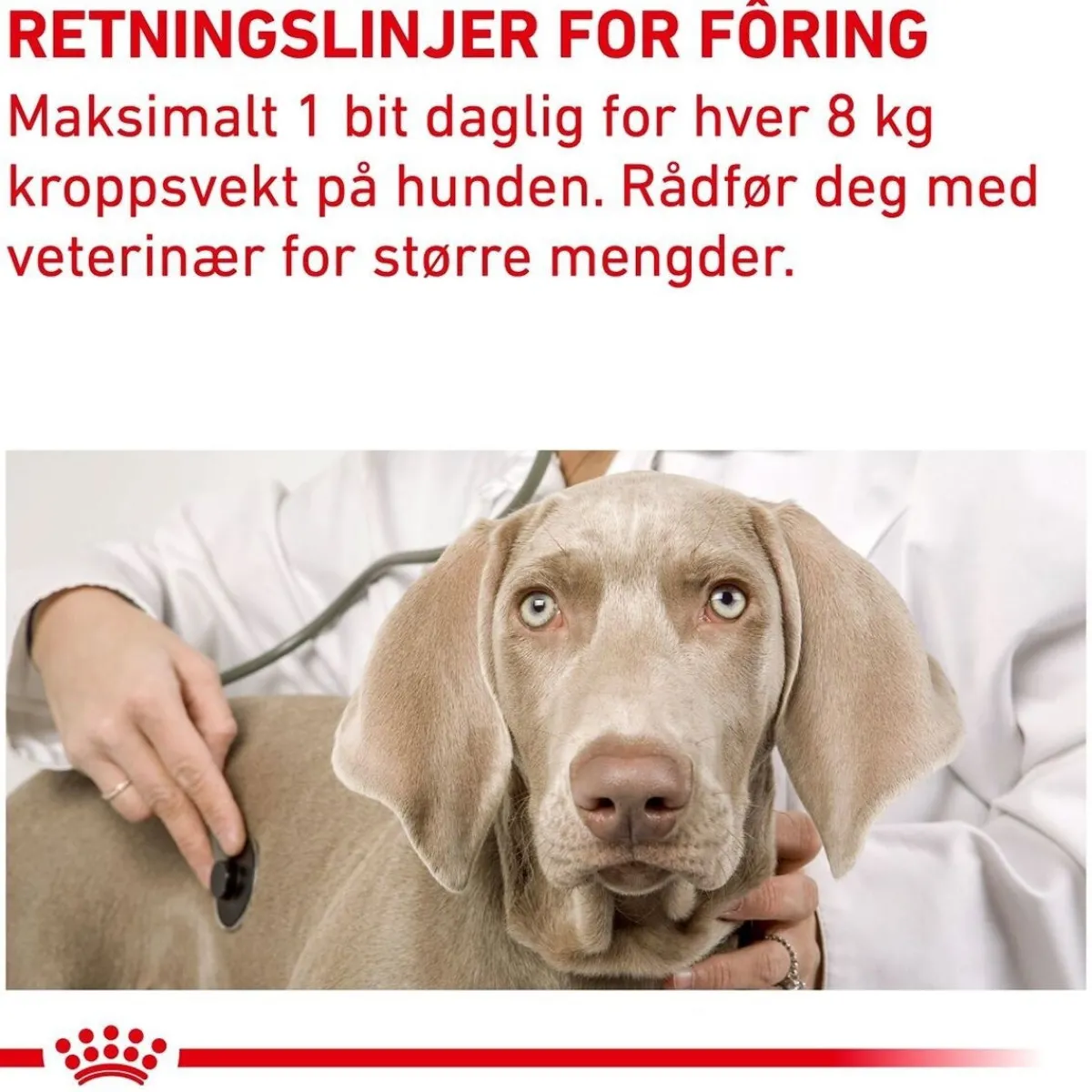 Royal Canin Veterinary Diets Hoito Ja Terveys*Dog Pill Assist M/L 225g