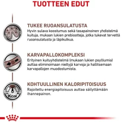 Royal Canin Veterinary Diets Kissan Suolistosairaudet|Kissan Erikoisruoka*Cat Gastrointestinal Hairball