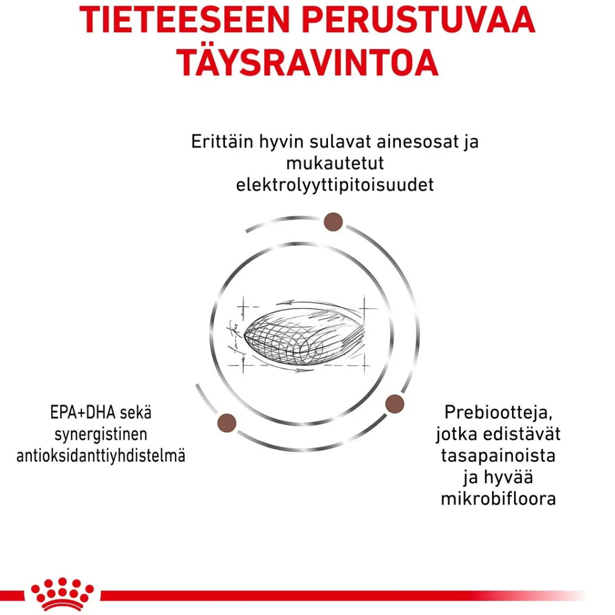 Royal Canin Veterinary Diets Kissan Suolistosairaudet|Kissan Erikoisruoka*Cat Gastrointestinal Hairball