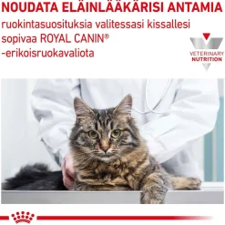 Royal Canin Veterinary Diets Kissan Suolistosairaudet|Kissan Erikoisruoka*Cat Gastrointestinal Hairball