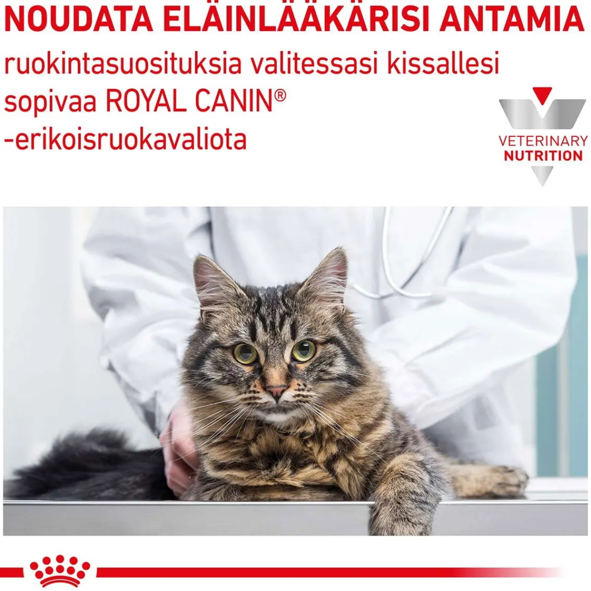 Royal Canin Veterinary Diets Kissan Suolistosairaudet|Kissan Erikoisruoka*Cat Gastrointestinal Hairball