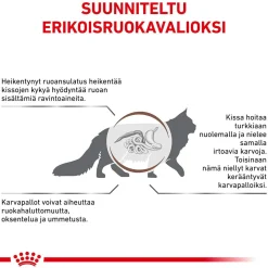Royal Canin Veterinary Diets Kissan Suolistosairaudet|Kissan Erikoisruoka*Cat Gastrointestinal Hairball