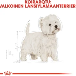 Royal Canin Koiran Kuivaruoka|Tarjoukset Koirille*West Highland White Terrier