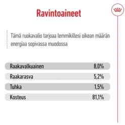 Royal Canin Koiran Märkäruoka Ja Makkarat*XS Adult märkäruoka 12 x 85 g